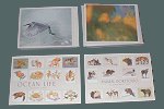 We carry an inspiring selection of greeting cards and note cards from Pomegranate, Artists to Watch, Passages, J. Stone, Laughing Elephant and more.